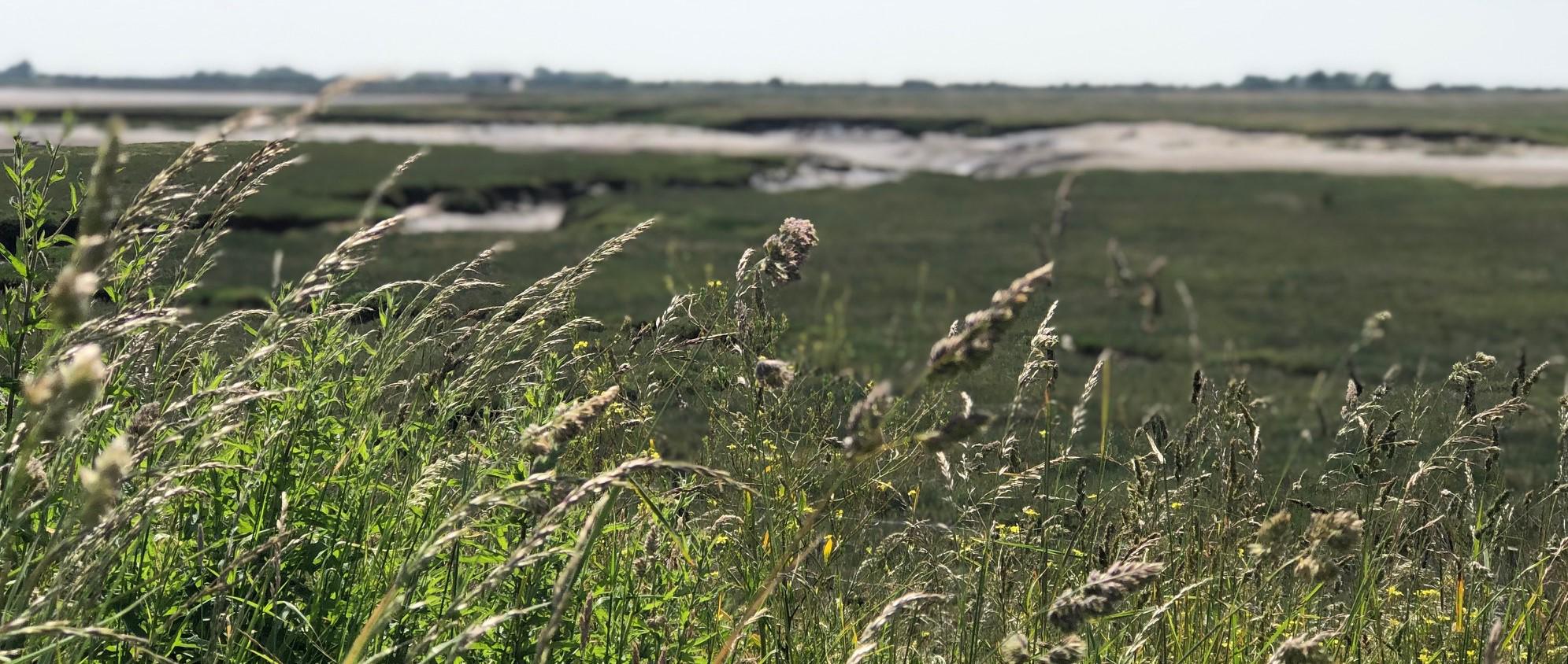 View towards Sunderland Point 